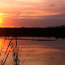 ‘Y sin embargo, amanece’