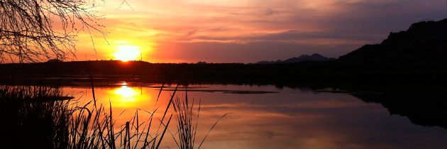 ‘Y sin embargo, amanece’